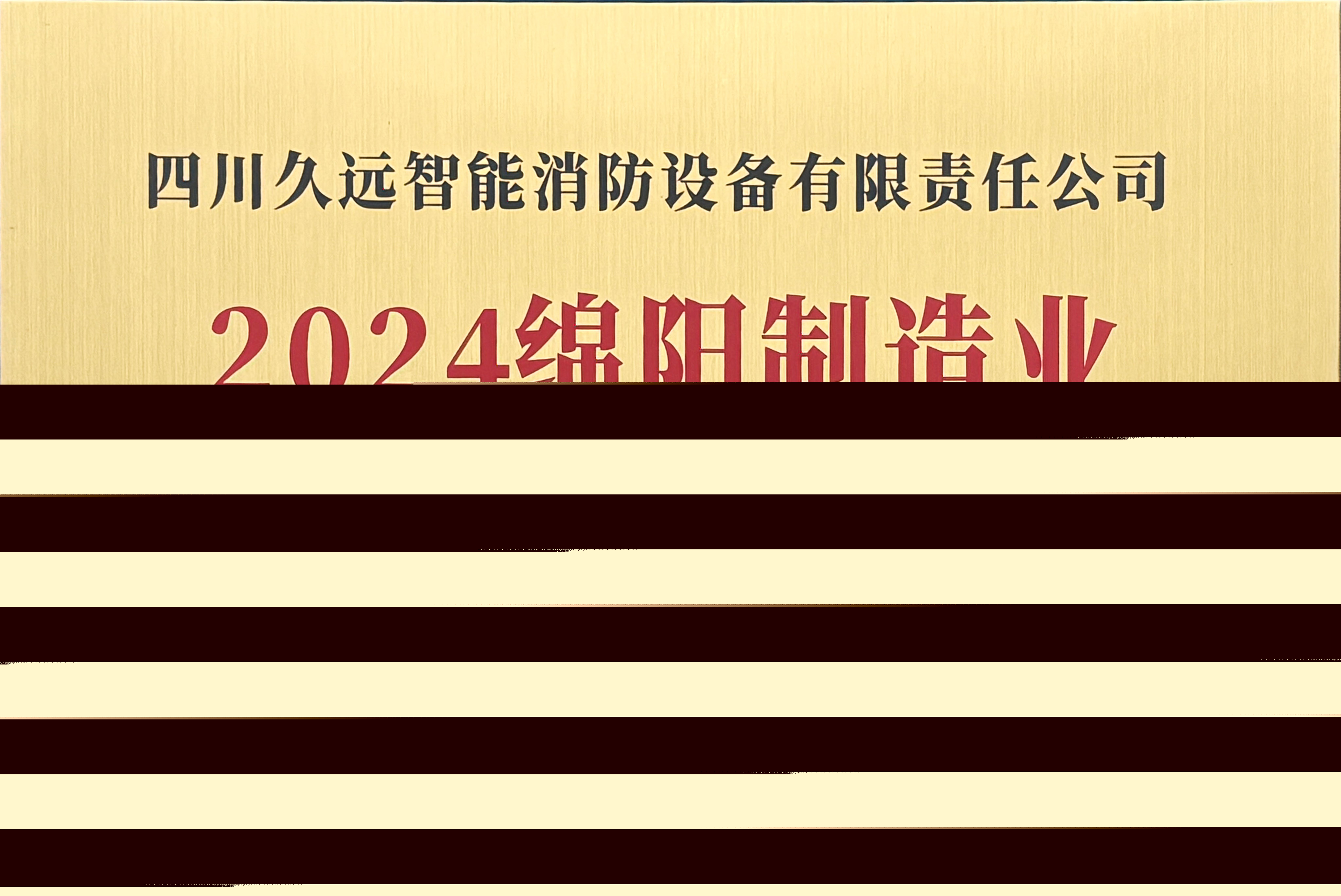 綿陽制造業(yè)企業(yè)50強